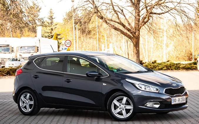 Kia Ceed cena 29900 przebieg: 228500, rok produkcji 2013 z Żerków małe 742